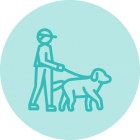 Caminador De Perro